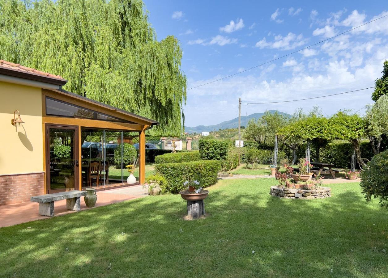 Agriturismo Terra Di Elea Azienda Agricola Di Raimondo Michela Ашеа Экстерьер фото