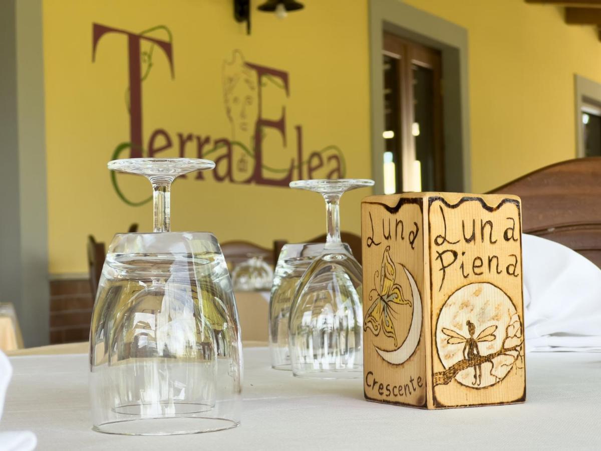 Agriturismo Terra Di Elea Azienda Agricola Di Raimondo Michela Ашеа Экстерьер фото