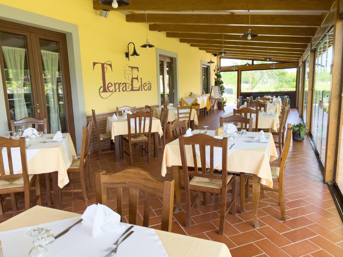 Agriturismo Terra Di Elea Azienda Agricola Di Raimondo Michela Ашеа Экстерьер фото