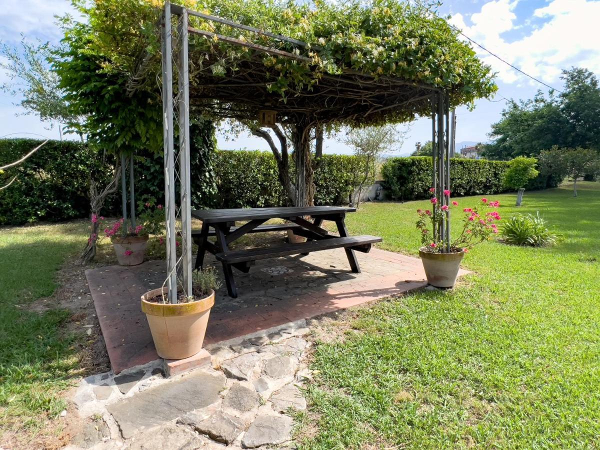 Agriturismo Terra Di Elea Azienda Agricola Di Raimondo Michela Ашеа Экстерьер фото