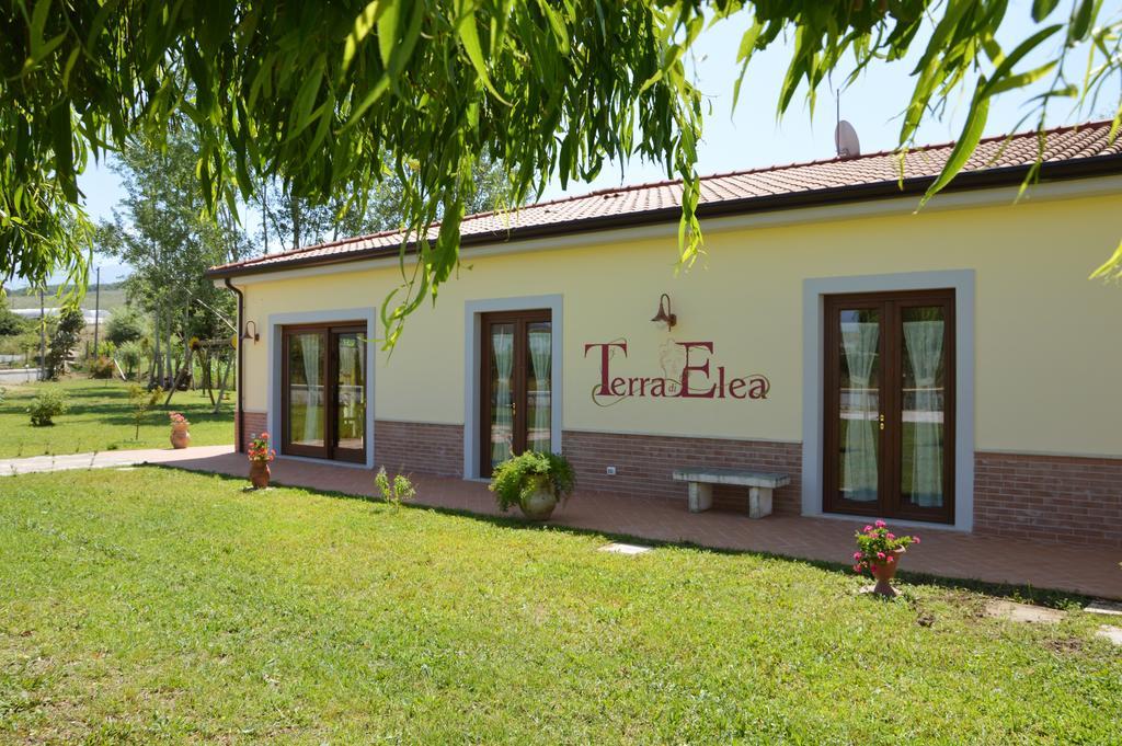 Agriturismo Terra Di Elea Azienda Agricola Di Raimondo Michela Ашеа Экстерьер фото