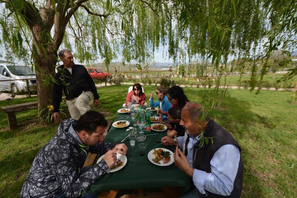 Agriturismo Terra Di Elea Azienda Agricola Di Raimondo Michela Ашеа Экстерьер фото